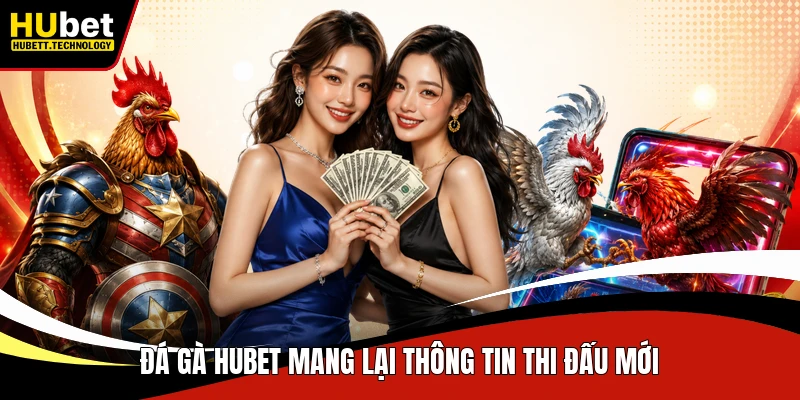 Đá gà Hubet mang lại thông tin thi đấu mới