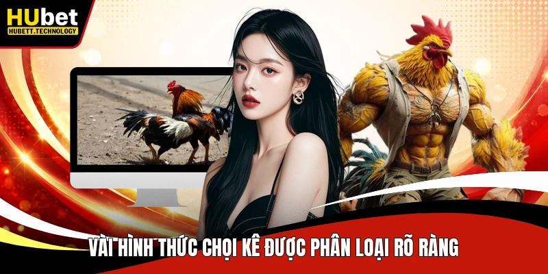 Vài hình thức chọi kê được phân loại rõ ràng